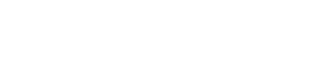 The Strategist logo